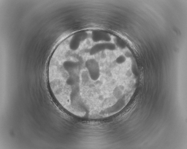 X0000115331375200912141210