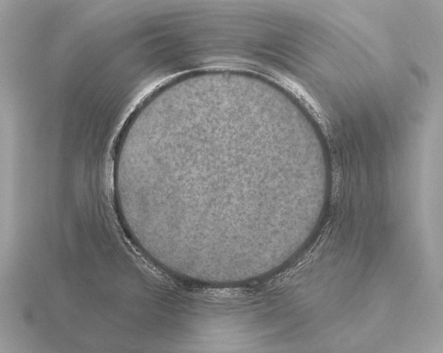 X0000115331376200912141210