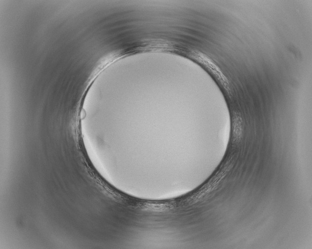 X0000115331378200912141210