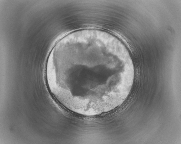 X0000115331379200912141210