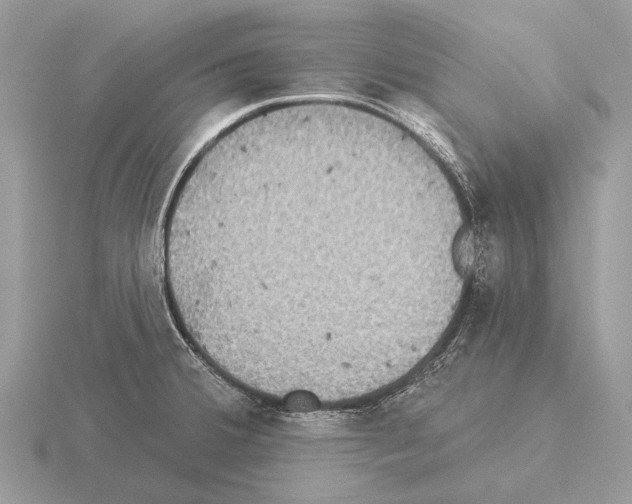 X0000115331380200912141210