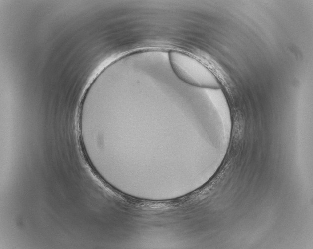 X0000115331382200912141210