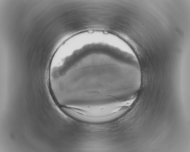 X0000115331383200912141210