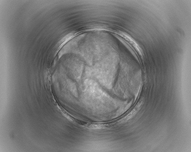 X0000115331385200912141210