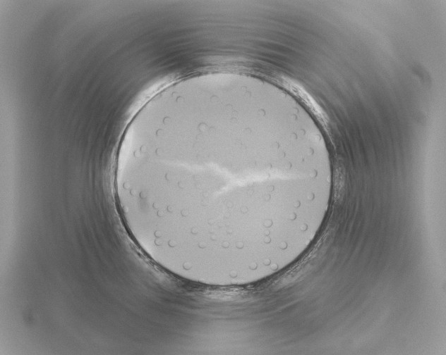 X0000115331386200912141210