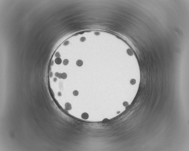 X0000115331387200912141210