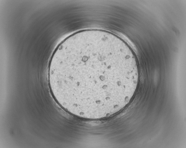 X0000115331388200912141210