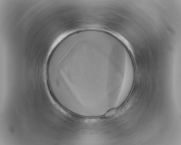 X0000115331389200912141210