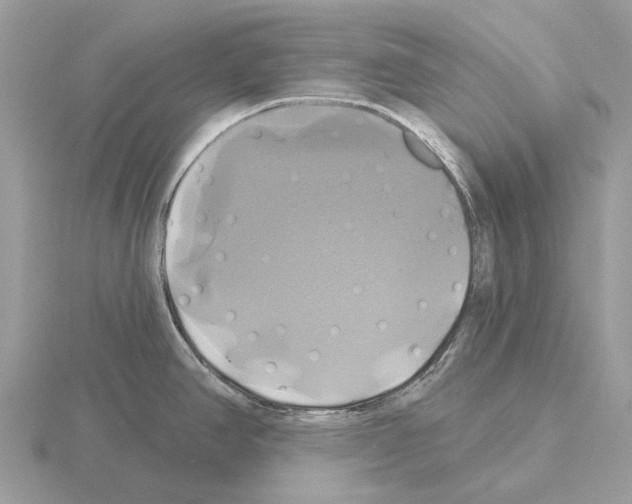 X0000115331390200912141210