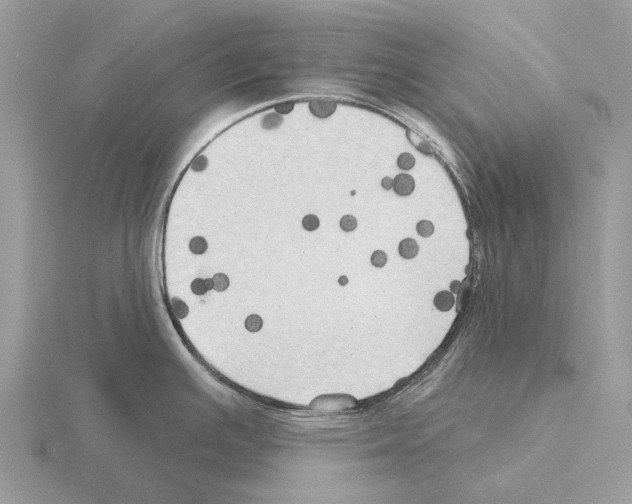 X0000115331391200912141210