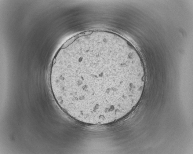 X0000115331392200912141210