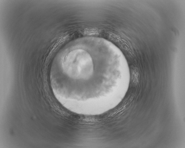 X0000115331393200912141209