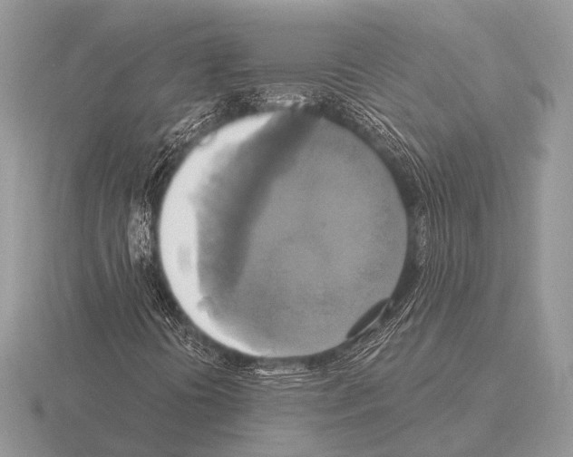 X0000115331394200912141209