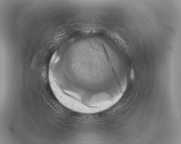 X0000115331396200912141209