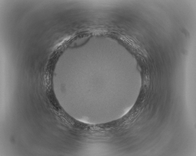 X0000115331398200912141209