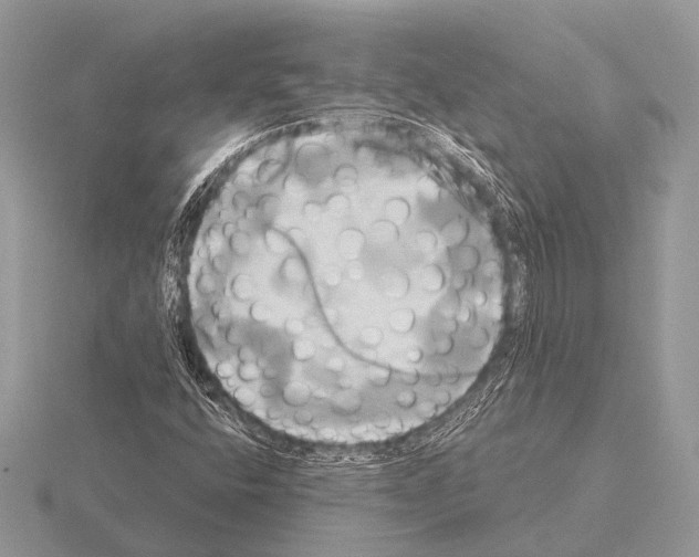 X0000115331400200912141209