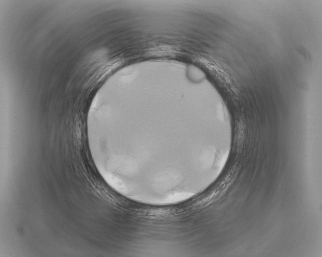 X0000115331401200912141209