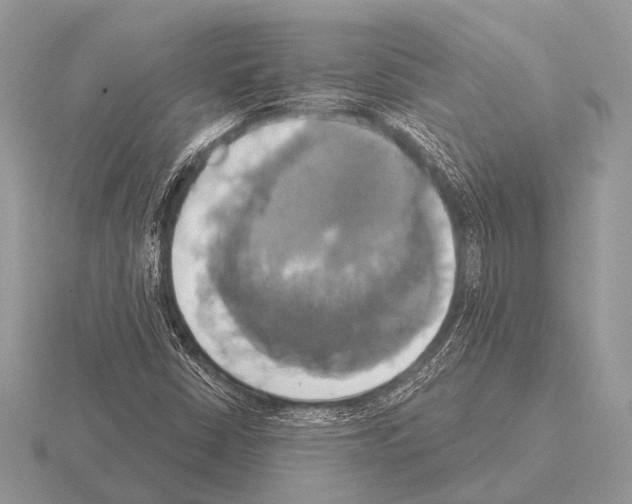 X0000115331402200912141209