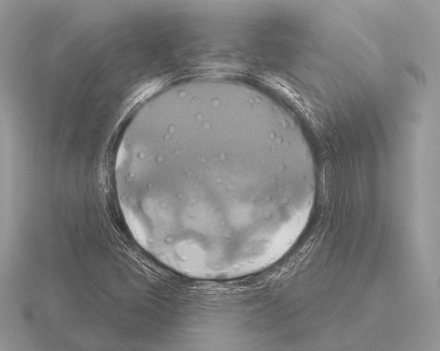 X0000115331405200912141209