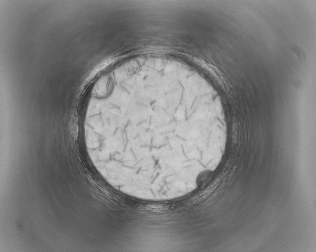 X0000115331406200912141209