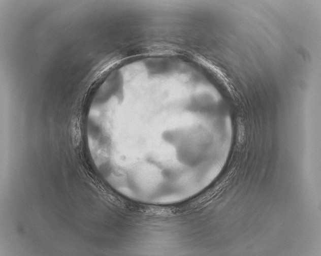 X0000115331407200912141209