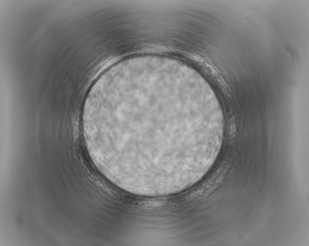 X0000115331409200912141209