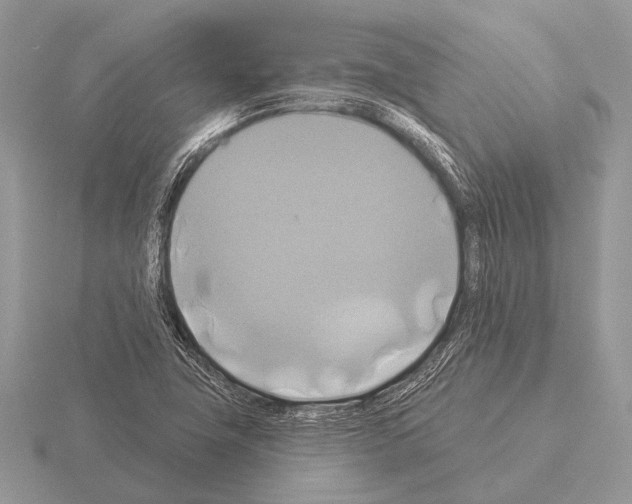 X0000115331411200912141210