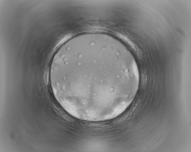 X0000115331413200912141210