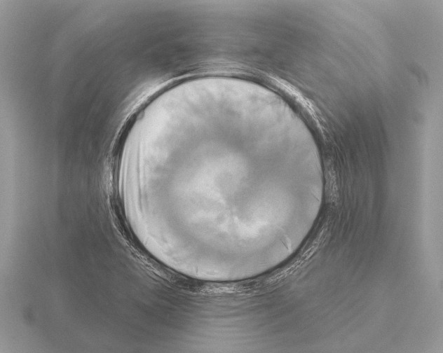 X0000115331415200912141210