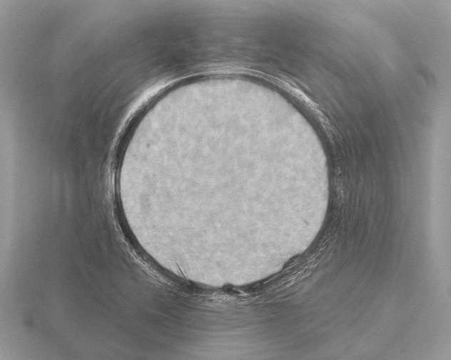 X0000115331416200912141210