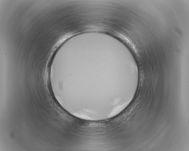 X0000115331419200912141210