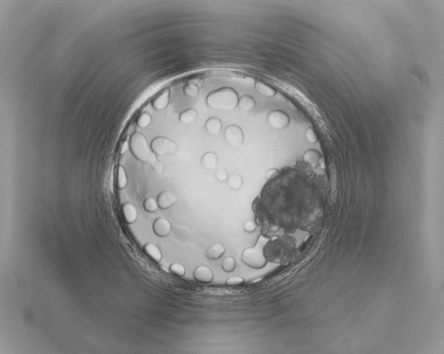 X0000115331420200912141210