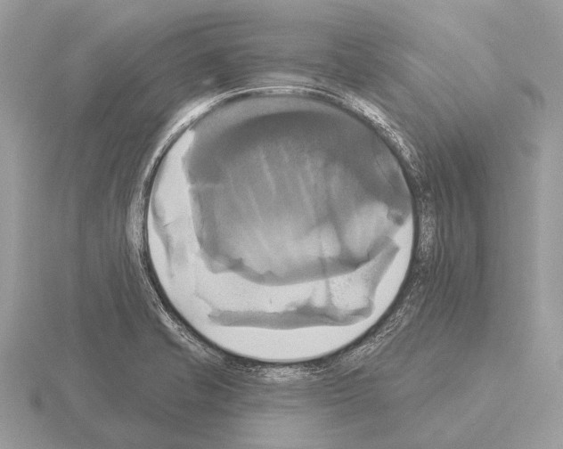 X0000115331421200912141210