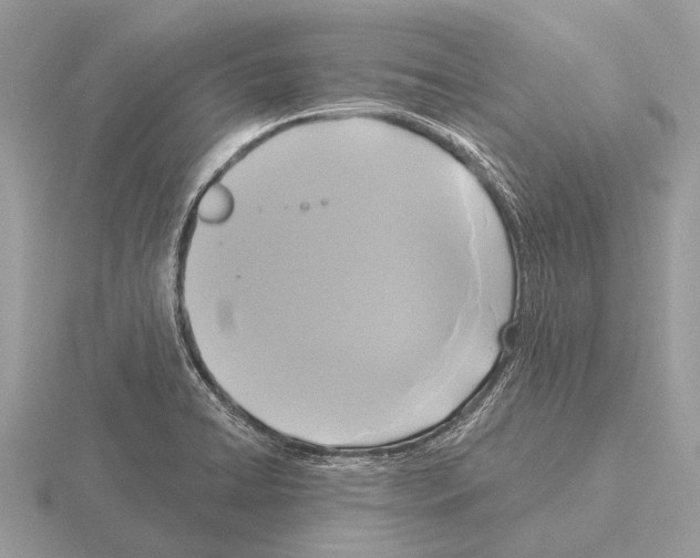 X0000115331422200912141210