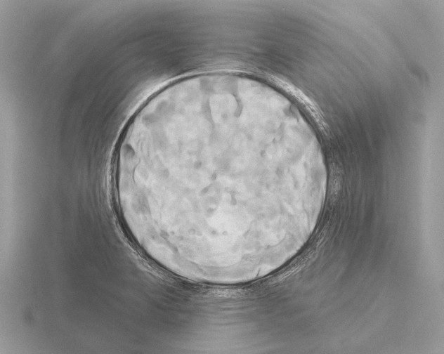 X0000115331423200912141210