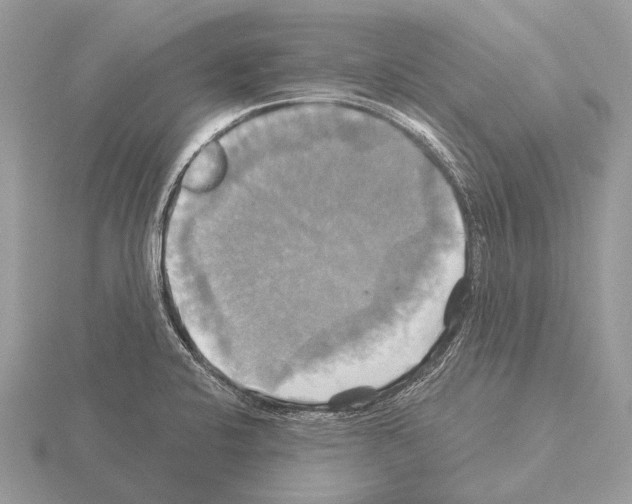 X0000115331424200912141210