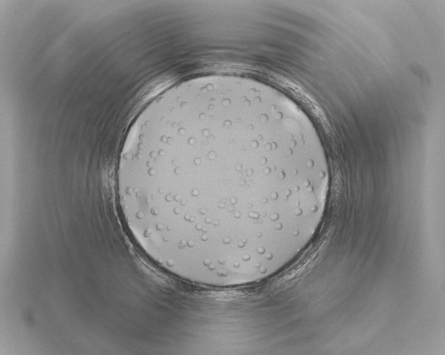 X0000115331425200912141210