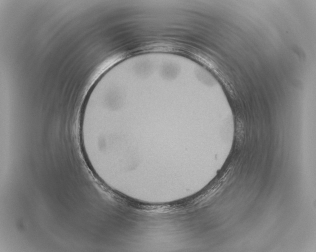 X0000115331426200912141210