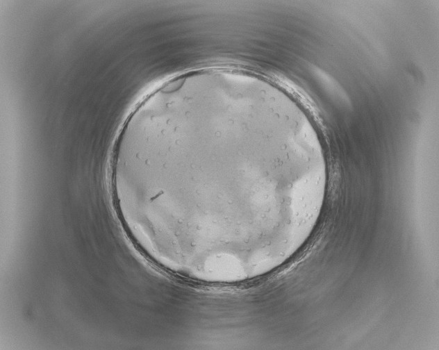 X0000115331429200912141210