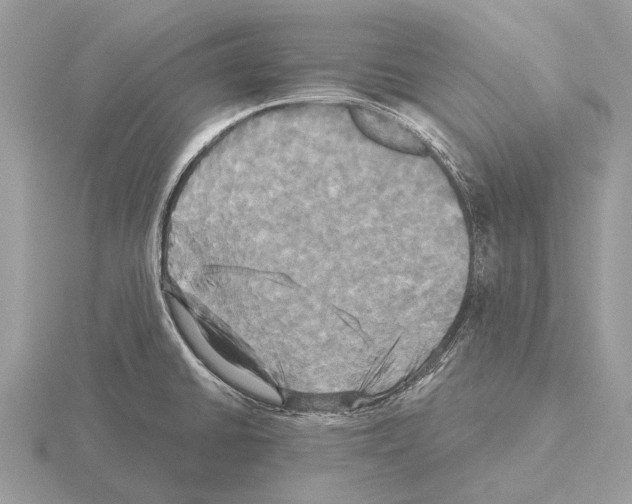 X0000115331430200912141210