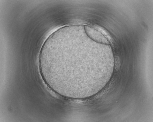 X0000115331431200912141210