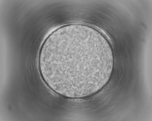 X0000115331432200912141210