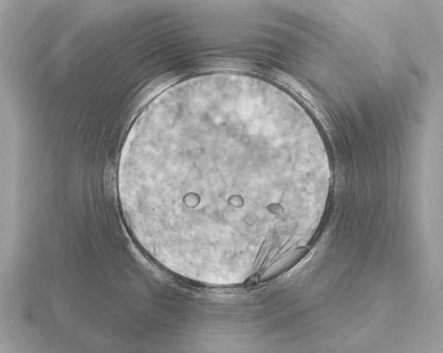 X0000115331433200912141210