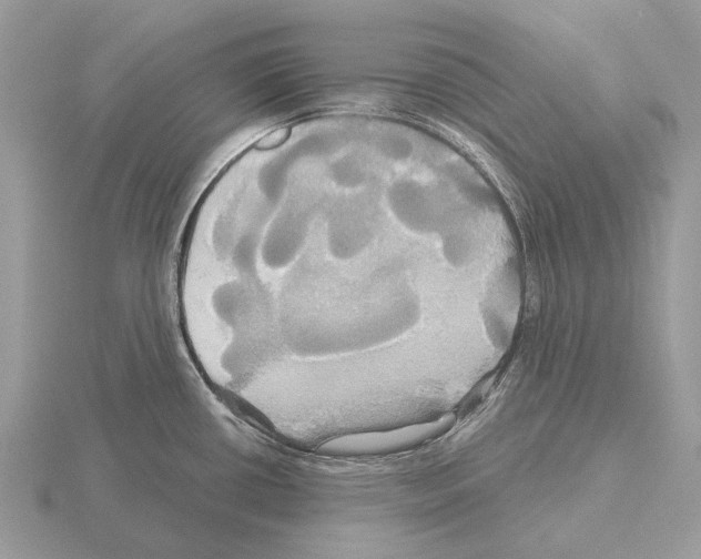 X0000115331434200912141210