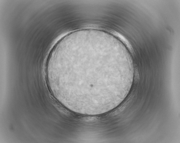 X0000115331435200912141210