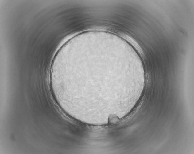 X0000115331436200912141210