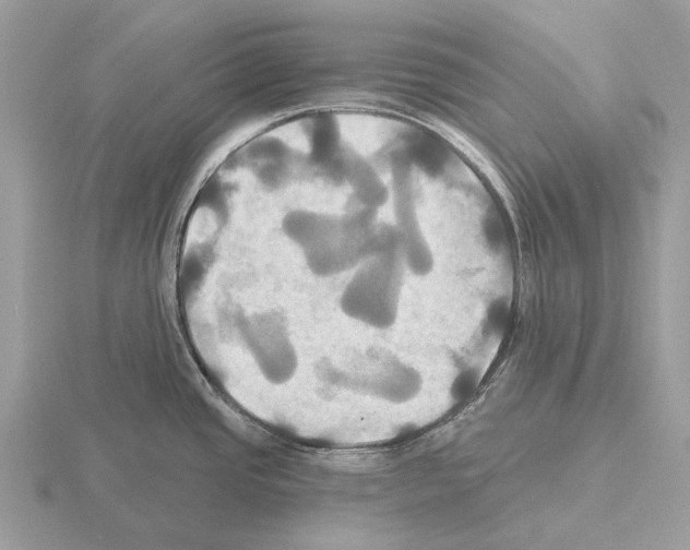 X0000115331437200912141210