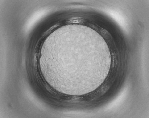 X0000115331438200912141210