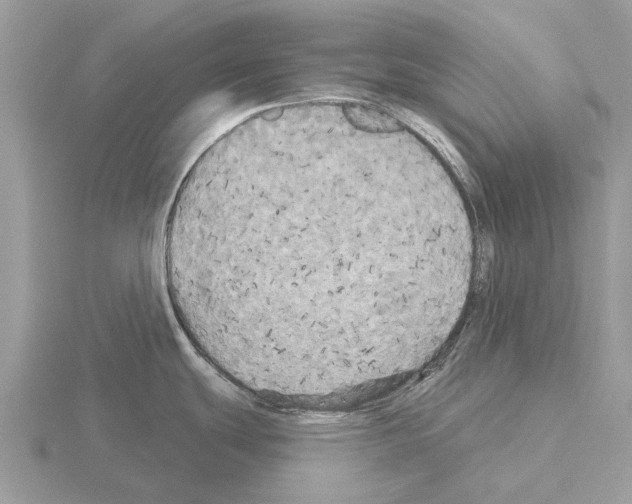 X0000115331439200912141210