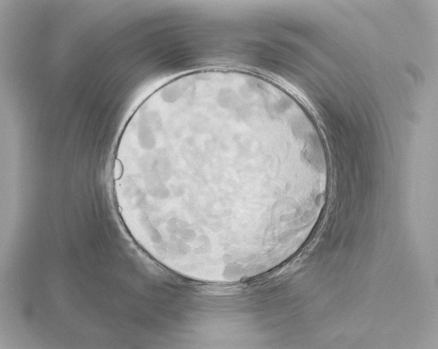 X0000115331440200912141210